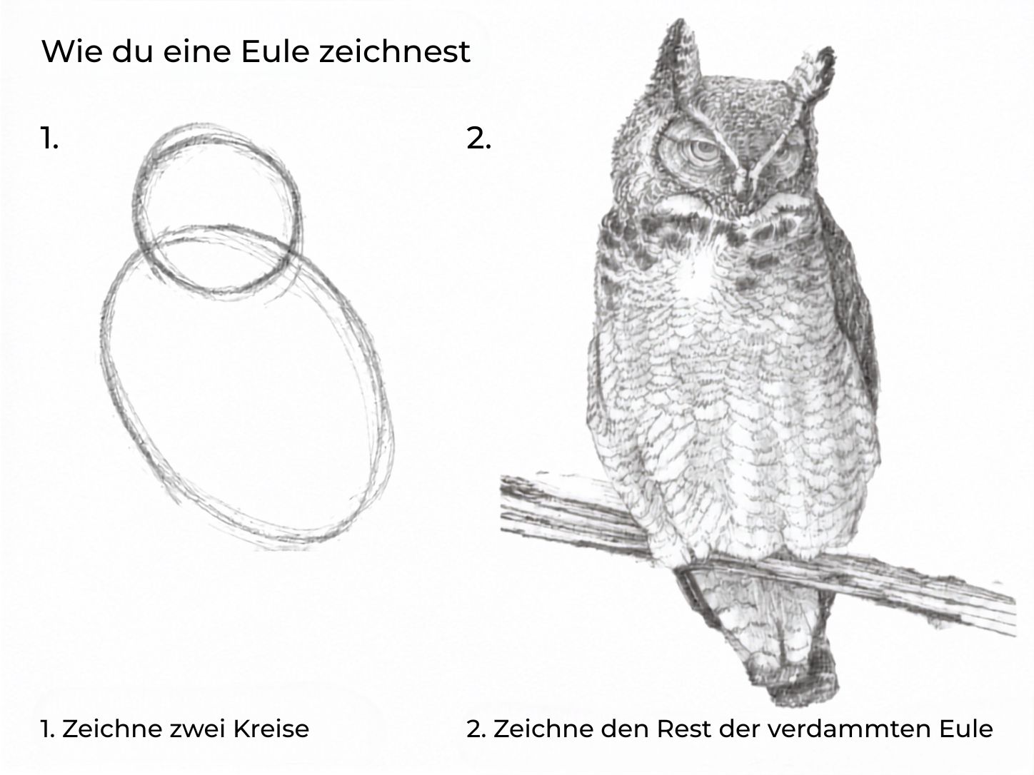 Wie du eine Eule zeichnest: 1. Zeichne zwei Kreise. 2. Zeichne den Rest der verdammten Eule.